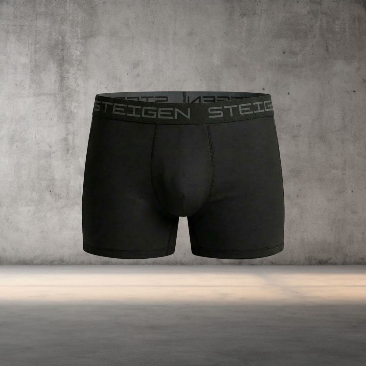 Steigen 4” Men’s Underwear
